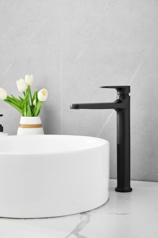 Смеситель для раковины BELZ B713 B11713-7 черный