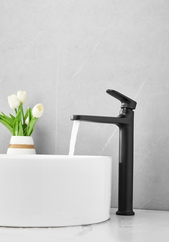 Смеситель для раковины BELZ B713 B11713-7 черный