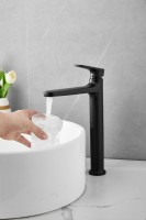 Смеситель для раковины BELZ B713 B11713-7 черный Смеситель для раковины BELZ B713 B11713-7 черный