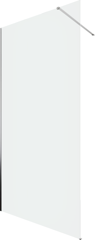 Душевая перегородка Allen Brau Infinity 1 3.21013.BA 100 см, профиль серебро браш, стекло прозрачное