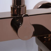 Душевая стойка Wasserkraft A17301