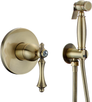 Гигиенический душ Rose R0105Q со смесителем, С ВНУТРЕННЕЙ ЧАСТЬЮ, бронза