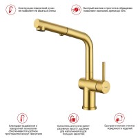Смеситель для кухни с выдвижным изливом Raglo R86.49.03, золотой сатин