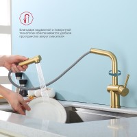 Смеситель для кухни с выдвижным изливом Raglo R86.49.03, золотой сатин