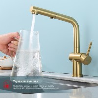 Смеситель для кухни с выдвижным изливом Raglo R86.49.03, золотой сатин