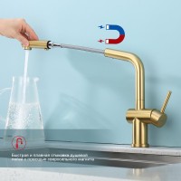 Смеситель для кухни с выдвижным изливом Raglo R86.49.03, золотой сатин