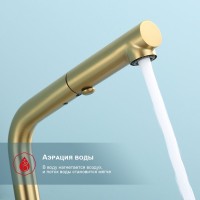 Смеситель для кухни с выдвижным изливом Raglo R86.49.03, золотой сатин