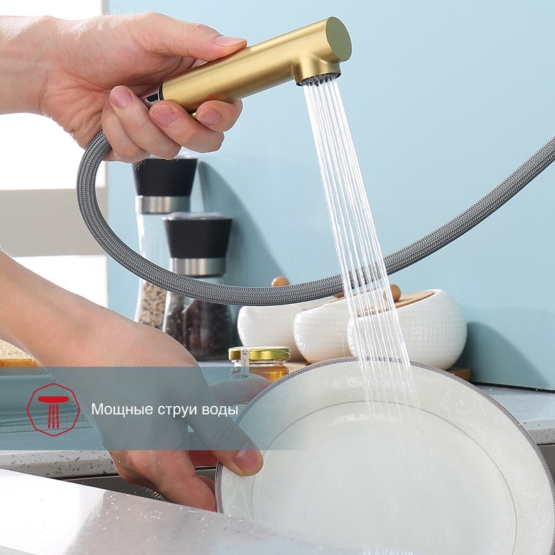 Смеситель для кухни с выдвижным изливом Raglo R86.49.03, золотой сатин