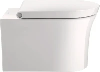 Унитаз подвесной Duravit White Tulip 2576092000 Унитаз подвесной Duravit White Tulip 2576092000