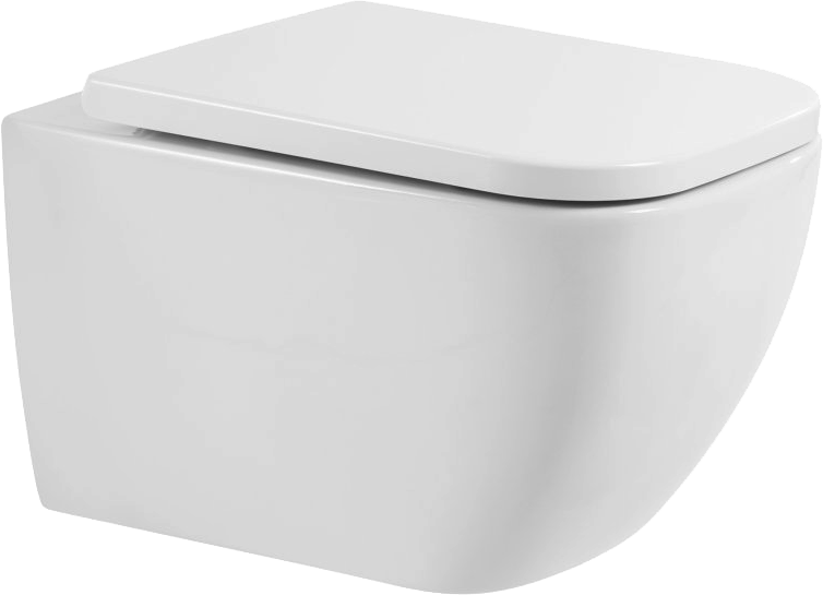 Унитаз подвесной BelBagno Alpina BB10100CHR/SC безободковый, с микролифтом