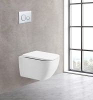 Унитаз подвесной BelBagno Alpina BB10100CHR/SC безободковый, с микролифтом