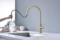 Смеситель для кухни Paulmark Senso Se215180-SBG светлое брашированное золото