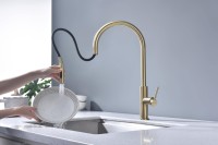 Смеситель для кухни Paulmark Senso Se215180-SBG светлое брашированное золото