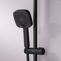 Душевая лейка AM.PM Above F029W022 черная