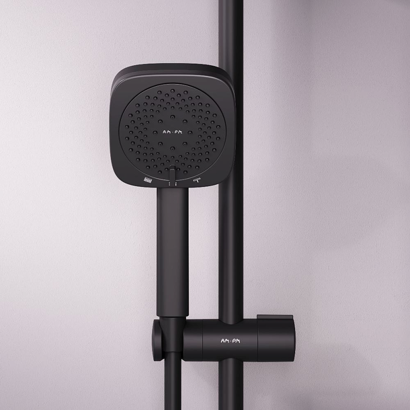 Душевая лейка AM.PM Above F029W022 черная