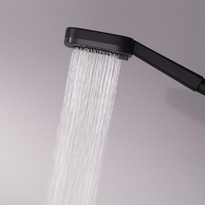 Душевая лейка AM.PM Above F029W022 черная