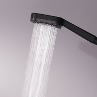 Душевая лейка AM.PM Above F029W022 черная