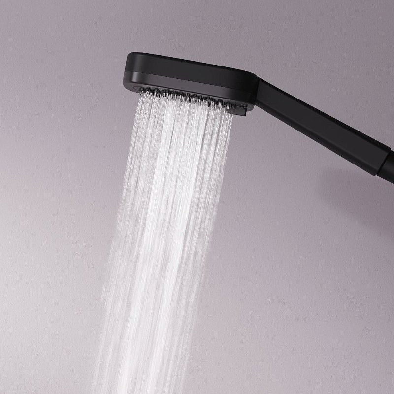 Душевая лейка AM.PM Above F029W022 черная