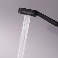 Душевая лейка AM.PM Above F029W022 черная