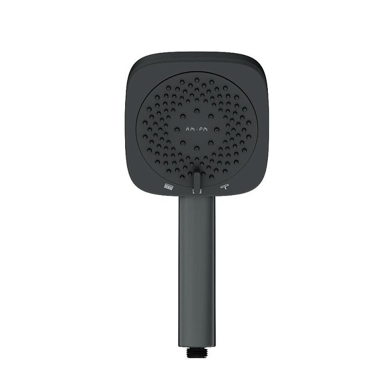 Душевая лейка AM.PM Above F029W022 черная