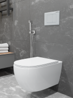 Унитаз подвесной CHARUS Skandenborg EWC700-125W