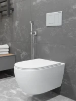 Унитаз подвесной CHARUS Skandenborg EWC700-125W Унитаз подвесной CHARUS Skandenborg EWC700-125W