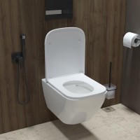 Унитаз подвесной IDDIS Torr TORRDSEi25 безободковый, с микролифтом