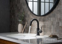 Смеситель для раковины AQUATEK Европа AQ1307MB матовый черный