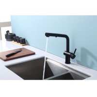 Смеситель для кухни с выдвижным изливом Raglo R86.49.06, черный