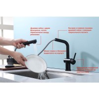 Смеситель для кухни с выдвижным изливом Raglo R86.49.06, черный