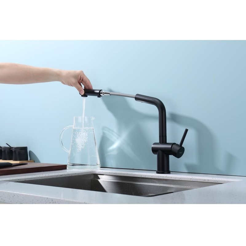 Смеситель для кухни с выдвижным изливом Raglo R86.49.06, черный