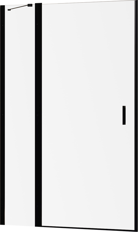 Душевая дверь в нишу RGW Leipzig LE-004-B 1000х1950 профиль черный, стекло прозрачное