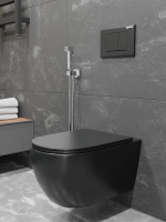 Унитаз подвесной CHARUS Skandenborg EWC700-125B матовый черный