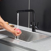 Смеситель для кухни Frap F4396-36 черный