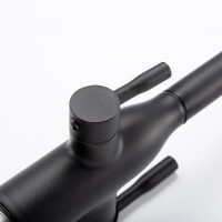 Смеситель для кухни Frap F4396-36 черный