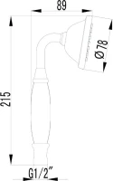 Душевая лейка Lemark LM8007C Душевая лейка Lemark LM8007C