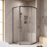 Душевой уголок Cezares Relax RELAX-304-P-1-100-C-GM 100x100, профиль оружейная сталь