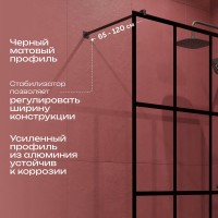 Душевая перегородка DIWO Коломна 120 см, профиль черный матовый