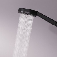 Душевая лейка AM.PM Above F029X022 черная