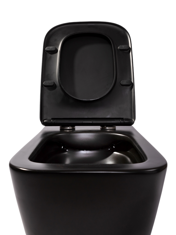 Унитаз подвесной CHARUS Alva EWC700-114B матовый черный