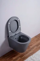 Унитаз подвесной Esbano Clavel ESUPCLAVGM серый матовый Унитаз подвесной Esbano Clavel ESUPCLAVGM серый матовый