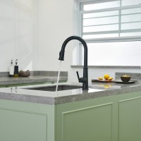 Смеситель для кухни Domaci Римини D569182BK черный