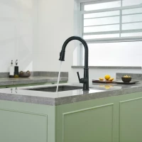 Смеситель для кухни Domaci Римини D569182BK черный Смеситель для кухни Domaci Римини D569182BK черный