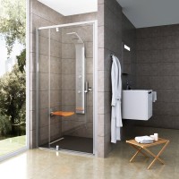 Душевая дверь в нишу Ravak Pivot PDOP2-100 Transparent, профиль сатин
