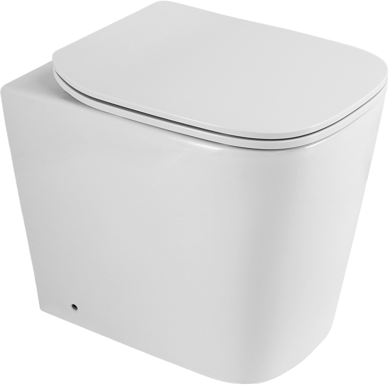 Унитаз приставной напольный BelBagno Albano BB120CBR безободковый, крышка BB903SC с микролифтом