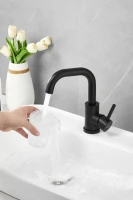 Смеситель для раковины BELZ B810 B10810-7 черный Смеситель для раковины BELZ B810 B10810-7 черный