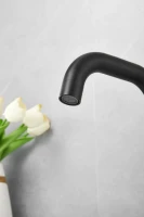 Смеситель для раковины BELZ B810 B10810-7 черный Смеситель для раковины BELZ B810 B10810-7 черный
