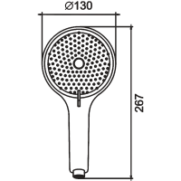 Душевая лейка BELZ BS01-5 брашированное золото