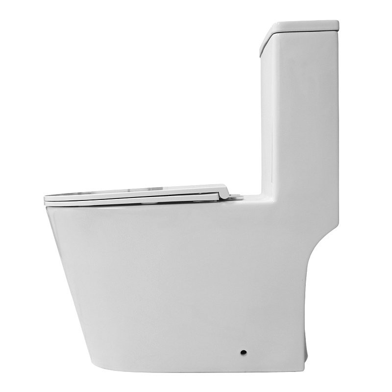 Унитаз-моноблок напольный AZARIO Eagle AZ-80673 безободковый, с микролифтом, глянцевый белый