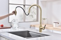 Смеситель для кухни Paulmark Universal Un213880-SBG светлое брашированное золото